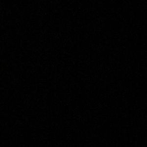 Meet your Posher, Jess